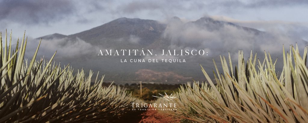Amatitán, Jalisco: la cuna del tequila