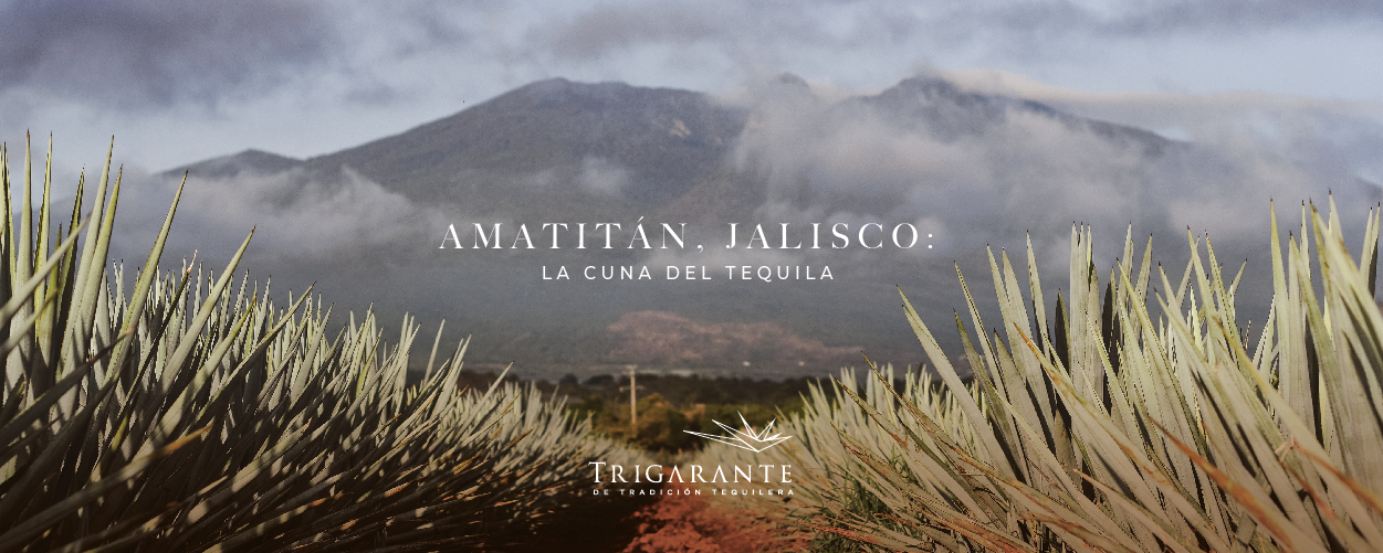 Amatitán, Jalisco: la cuna del tequila Amatitán, Jalisco: la cuna del tequila