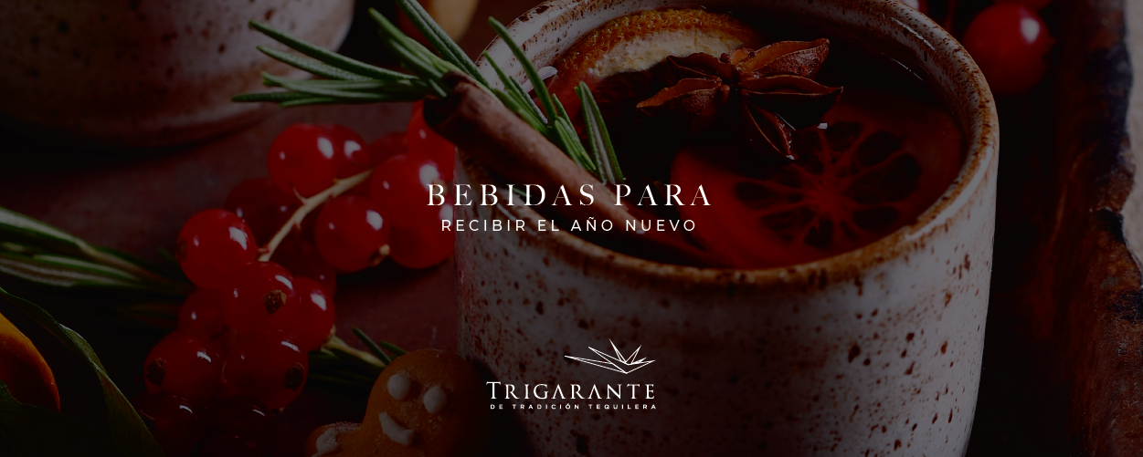 Bebidas para recibir el Año Nuevo