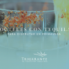 Cócteles con tequila para disfrutar en primavera