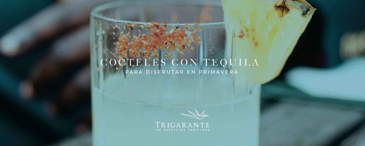 Newsletter_Blog Cócteles con tequila para disfrutar en primavera