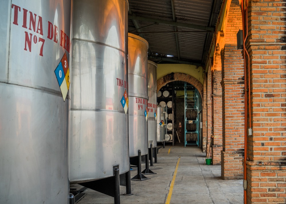 Fermentation